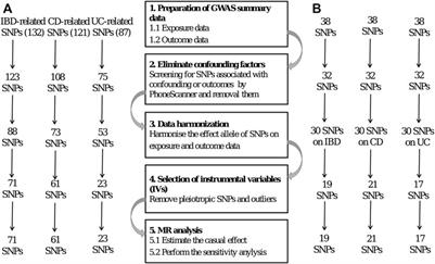 Inflammatory bowel disease and celiac disease: A bidirectional Mendelian randomization study